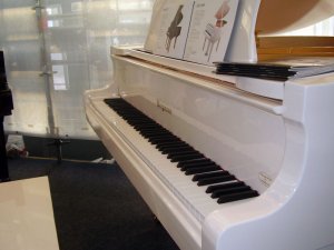 ���������� ����������� ������� 2006 - ���������