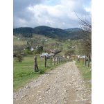 ������������ 2007 - ������� | ����