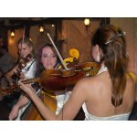 �Mercury-fest 5� � � ���� �����, ���� �����!  | ����