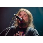 ������� ���� - �������� ������� ������ | ����