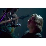 ������� ���� - �������� ������� ������ | ����