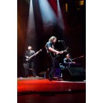 ������� ���� - �������� ������� ������ | ����