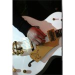 ����������: Fender Party - 125 ��� Gretsch. ���� | ����