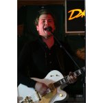 ����������: Fender Party - 125 ��� Gretsch. ���� | ����