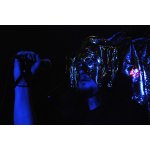 Dark Winter Party: ����� ������� 2008 | ����