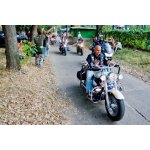 ��� ѳ� 2008 - ���� ������ | ����