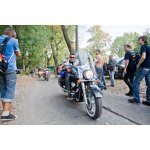 ��� ѳ� 2008 - ���� ������ | ����