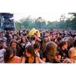 ��� ѳ� 2008 - ���� ������ | ����