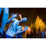 ��� ѳ� 2008 - ���� ������ | ����