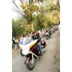 ��� ѳ� 2008 - ���� ������ | ����