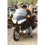 ��� ѳ� 2008 - ���� ������ | ����