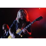 ����������: Whitesnake � ����� | ����