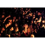����� ���������: ����������� EP � DVD ��� � ����� | ����