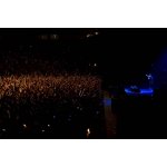 �� ������ �� ����������: Limp Bizkit � ����� | ����