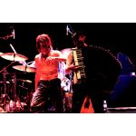 ����� ̳��� � Gogol Bordello: ��� �������� ���� ������? Switch the fucking channel!�