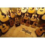Viva Guitar House!