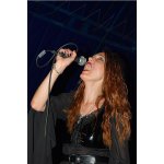 ����� ������ 2009 - ������� | ����