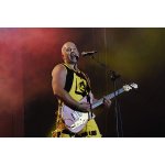 �����: ���������, ������� ������ � �� ������ | ����
