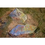 ���� - ��������� ���������� | ����
