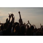 ������ 2009 - ����� ���'�� ����� ������ | ����