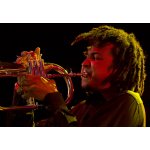 Jazz in Kiev 2009. ���� ������ | ����