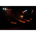 � ����� ������ ��������� ���������� ���� | ����
