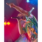 ������� �������� ����. ��������� ������� ��� | ����