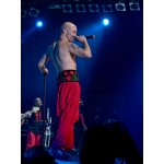 ������� �������� ����. ��������� ������� ��� | ����