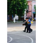 ��������� �������������� ���-��������� ������ ������ - 2010� | ����