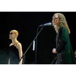 ����� �������� � ������� ������������ � ����� ���� ����� ������ �������� | ����