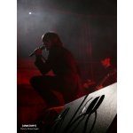 ������� � [AMATORY]! | ����