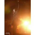������� � [AMATORY]! | ����