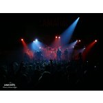 ������� � [AMATORY]! | ����