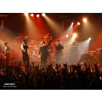 ������� � [AMATORY]! | ����