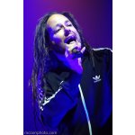 Korn: �����, ��� �� ����� | ����