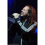 Korn: �����, ��� �� ����� | ����