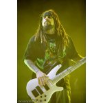 Korn: �����, ��� �� ����� | ����