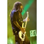 Korn: �����, ��� �� ����� | ����