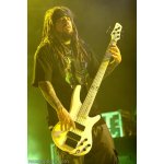 Korn: �����, ��� �� ����� | ����