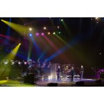 ����: �������� ������� The Orchestra | ����