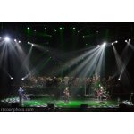 ����: �������� ������� The Orchestra | ����