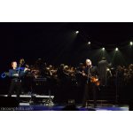 ����: �������� ������� The Orchestra | ����