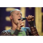 ����������: �� - 25 ��� �� ������ | ����