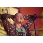 ����������: �� - 25 ��� �� ������ | ����