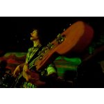 Animals' Session - ������� �������� �� ����� � ������� | ����
