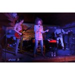 Animals' Session - ������� �������� �� ����� � ������� | ����