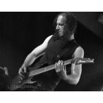 Spring Metal Day | ����