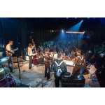 ����: ������� ����� �8, ���� ������ | ����
