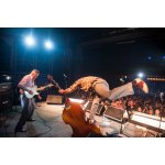 ����: ������� ����� �8, ���� ������ | ����
