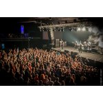 ����: Guano Apes � ����������� | ����